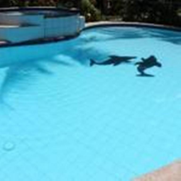 Lost Horizon Beach Dive Resort Bohol Extérieur photo